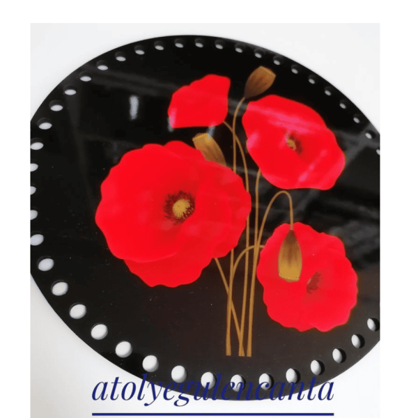 PLEXI PLANKS 03
