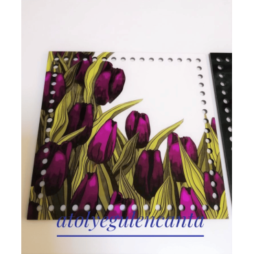 PLEXI PLANKS 07
